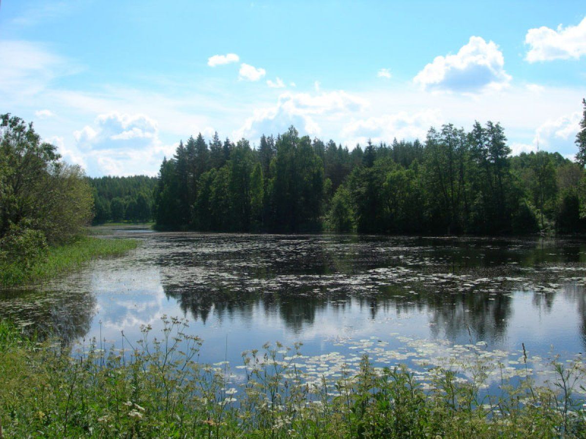 Латгалия озера