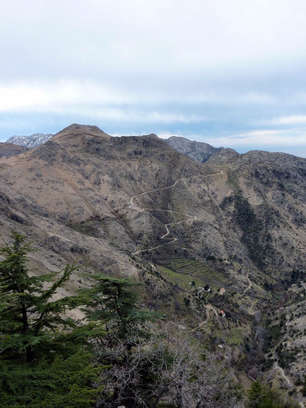 Ливан фото #8055