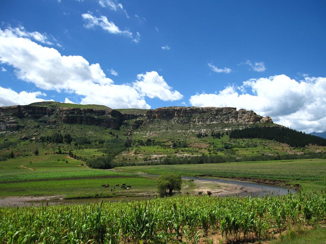 Лесото фото #8244