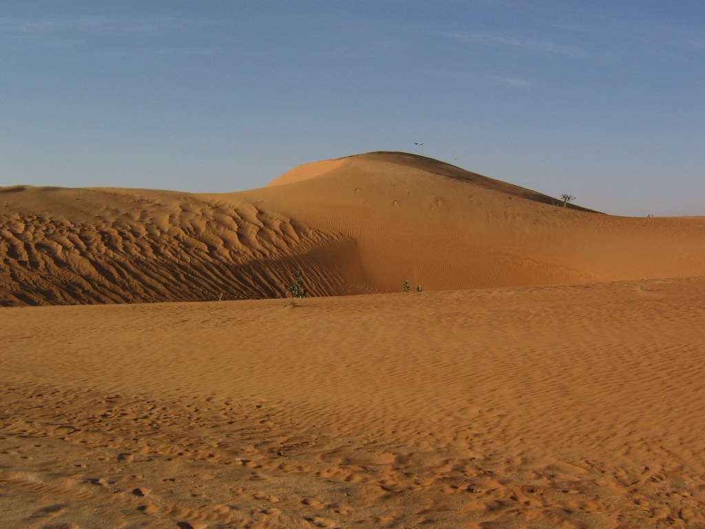 Мавритания фото #9350