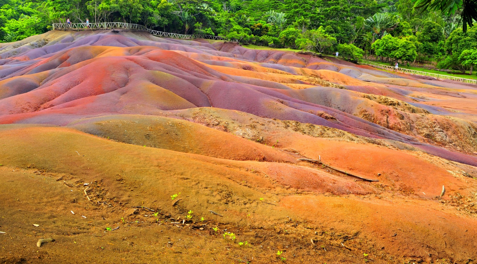 Необычный парк Seven Coloured Earth - Маврикий фото #8996
