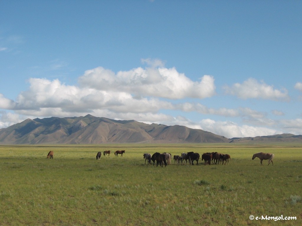 Монголия фото #9627
