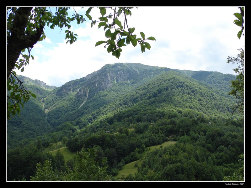 Беране, Черногория фото #11886