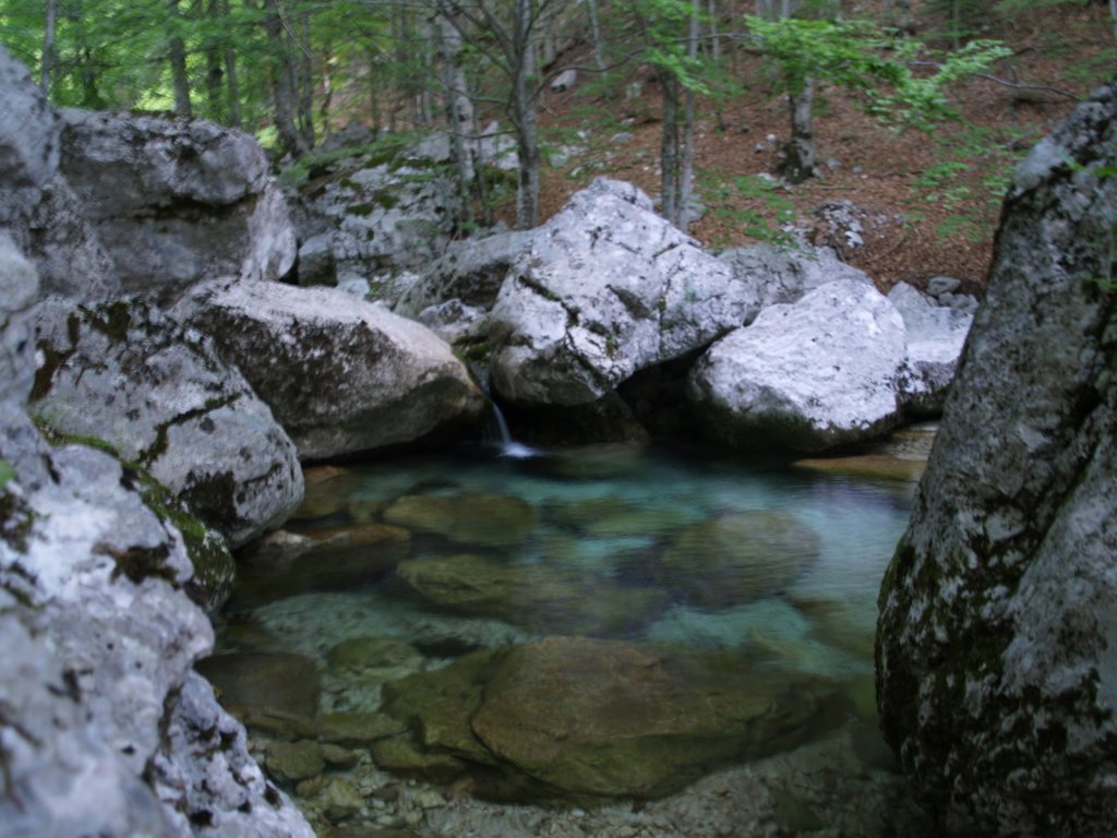 Дурмитор Национальный Парк, Черногория фото #11942