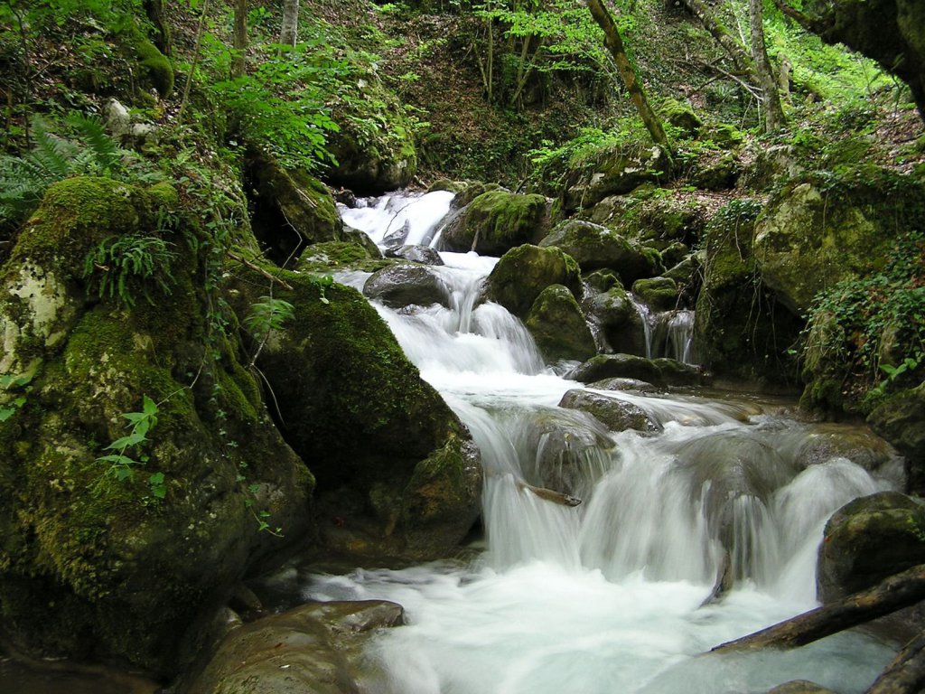 Дурмитор Национальный Парк, Черногория фото #11951