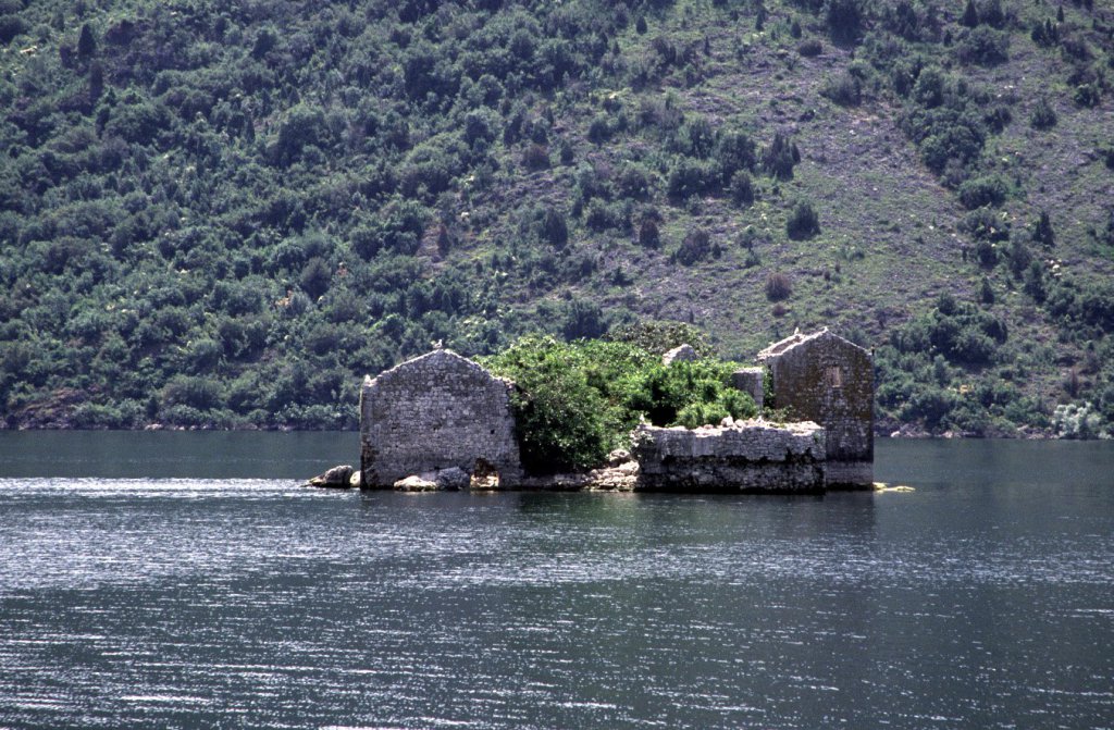 Скадарское озеро Национальный Парк, Черногория фото #12178