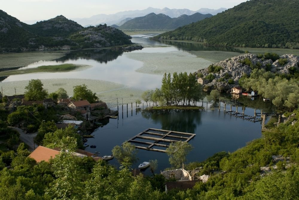 Скадарское озеро Национальный Парк, Черногория фото #12186