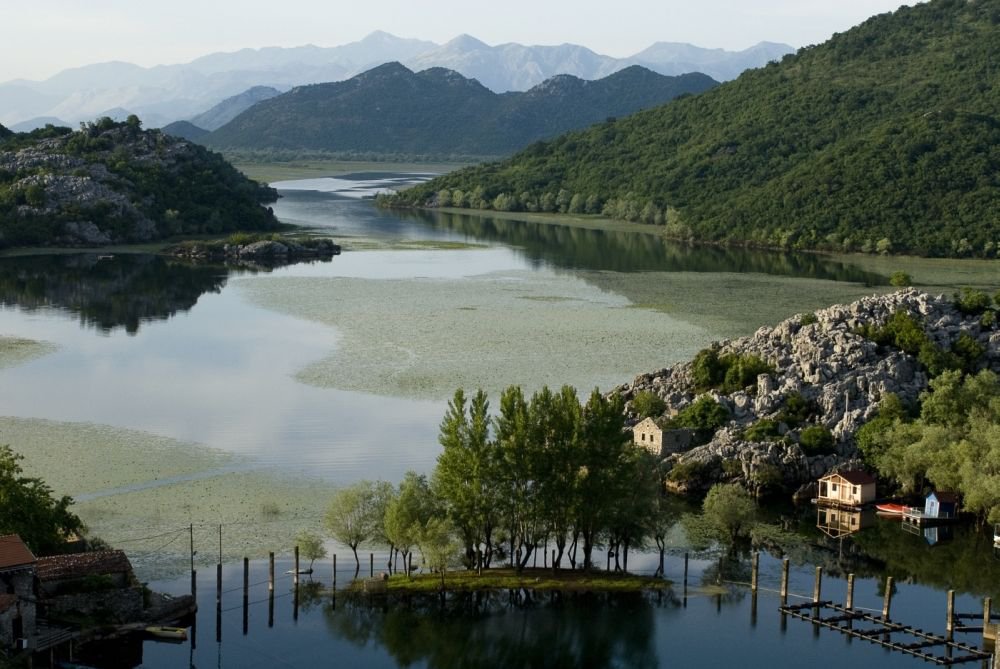 Скадарское озеро Национальный Парк, Черногория фото #12187