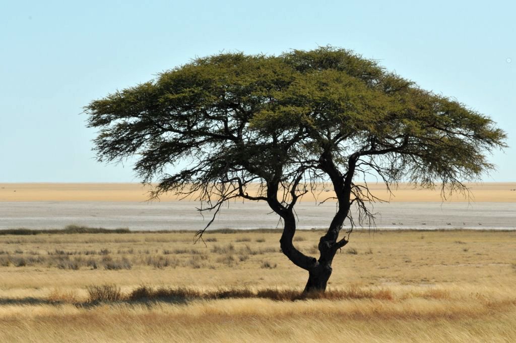 Намибия фото #10008