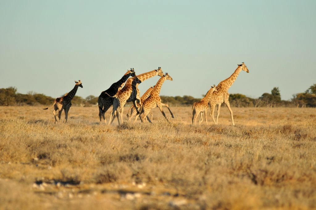 Намибия фото #10014