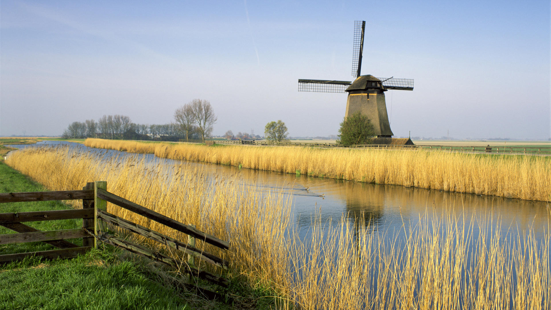 Нидерланды фото #15331
