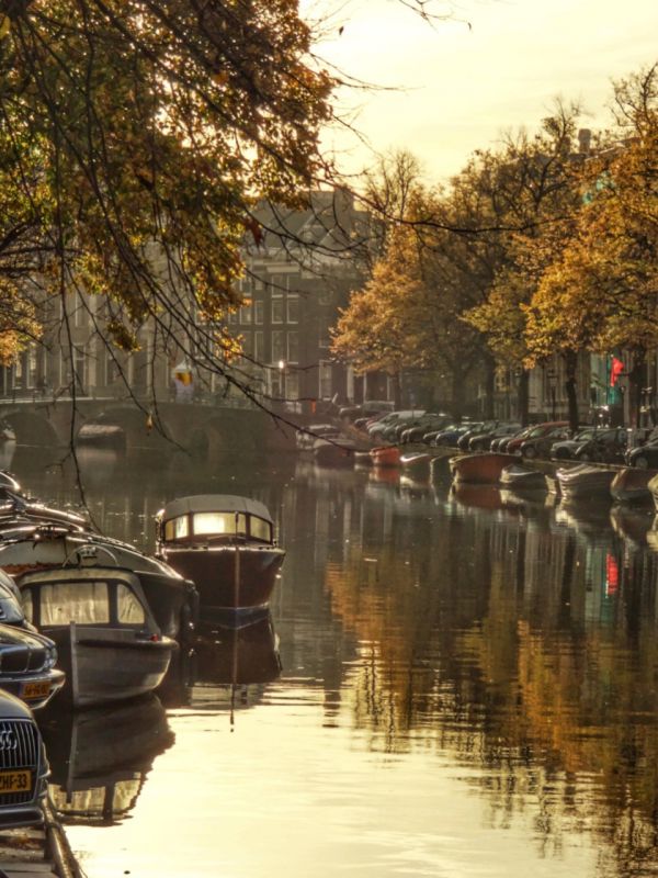 Амстердам, Нидерланды фото #28636