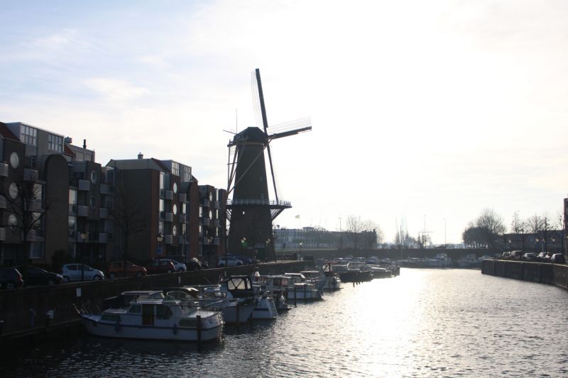 Роттердам, Нидерланды фото #28594