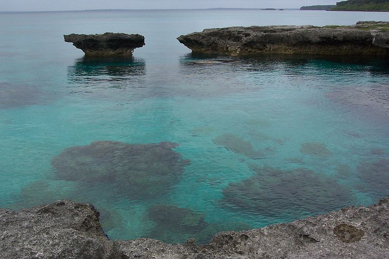 Corail Lifou - Новая Каледония фото #4302