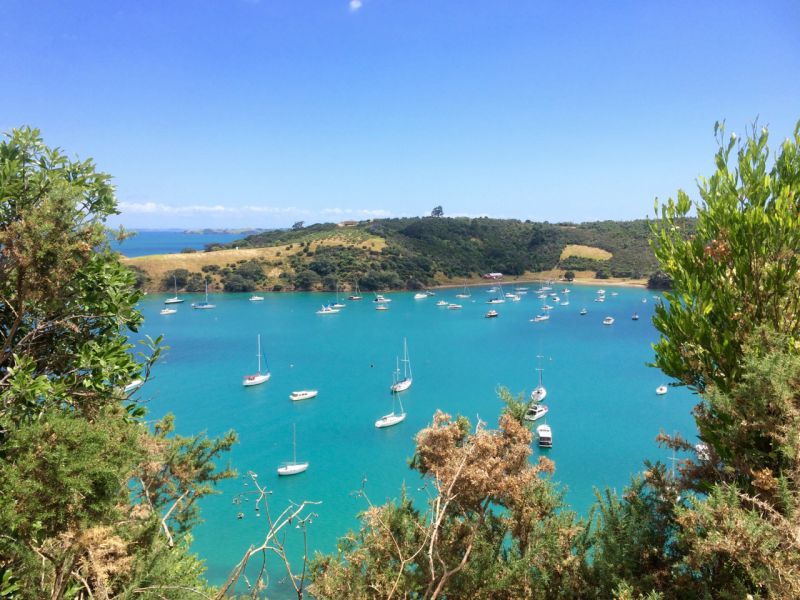 Окленд, Новая Зеландия фото #28332