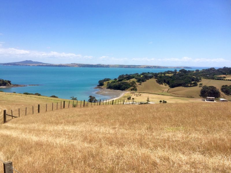 Окленд, Новая Зеландия фото #28333