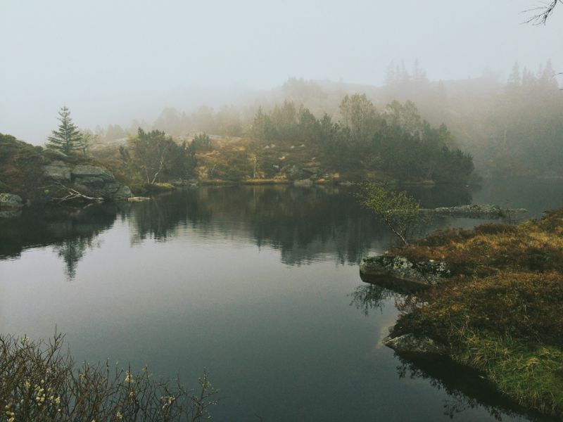 Берген, Норвегия фото #28467