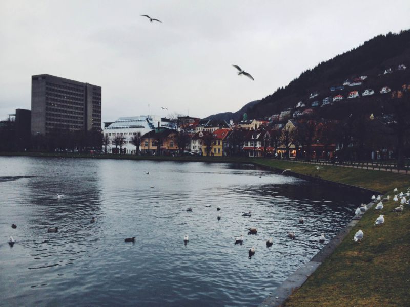 Берген, Норвегия фото #28471