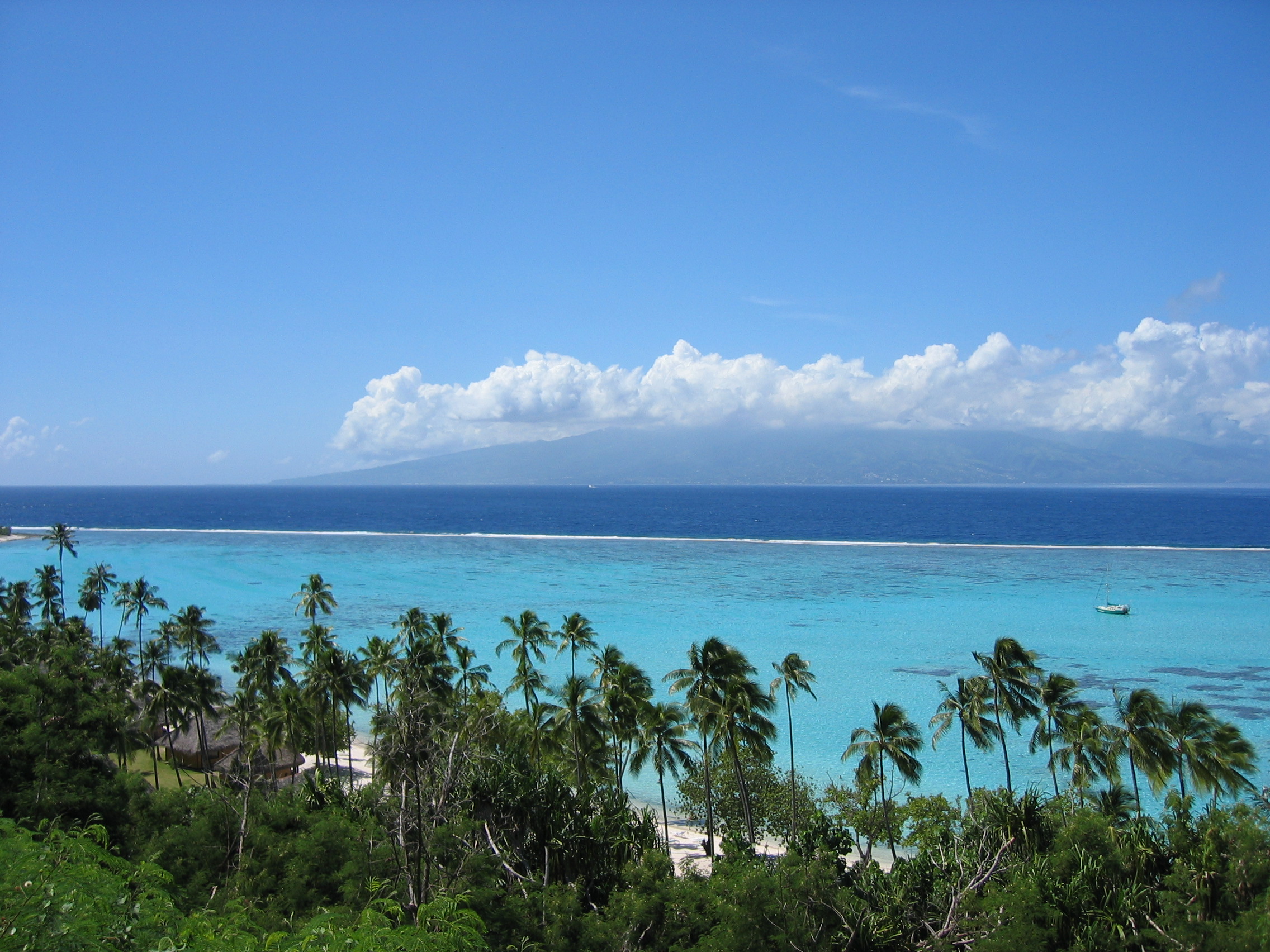 Moorea Lagoon - Питкэрн фото #3177