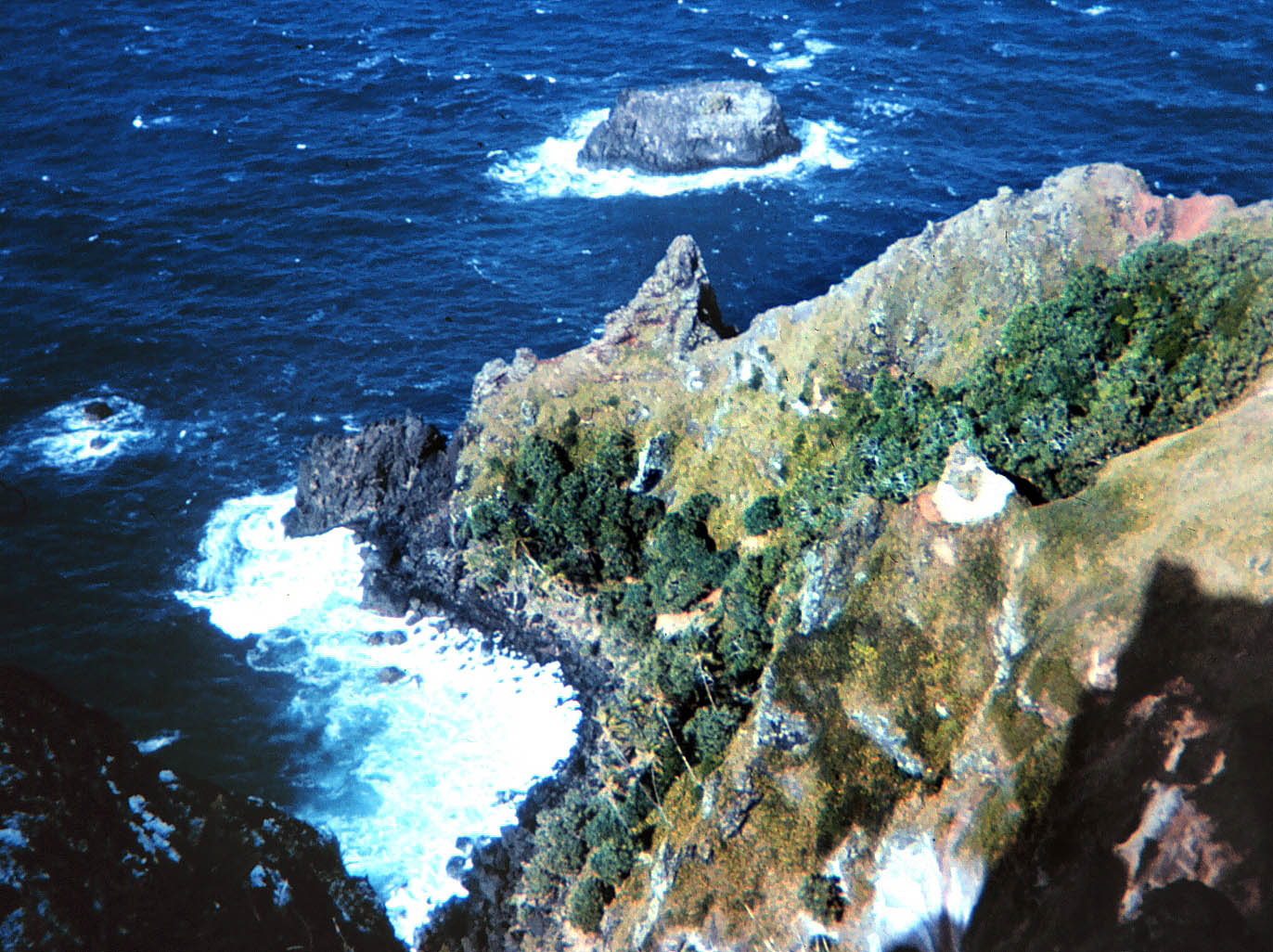 Pitcairn Island - Питкэрн фото #3181