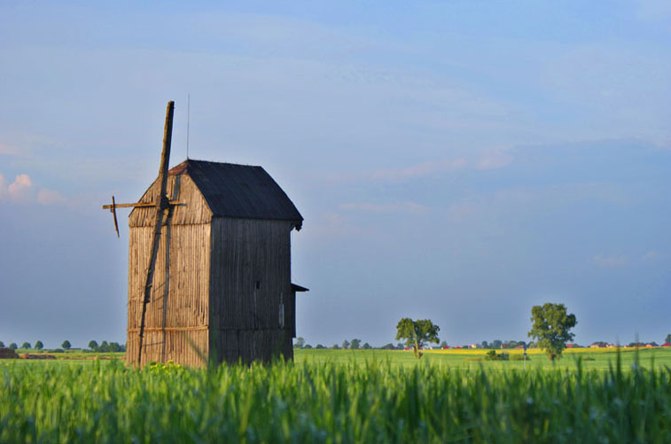 Field Windmill - Польша фото #3316