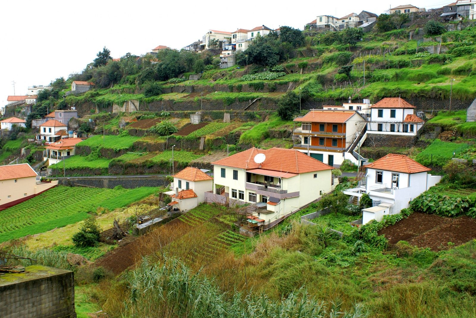 о. Мадейра, Португалия фото #19580
