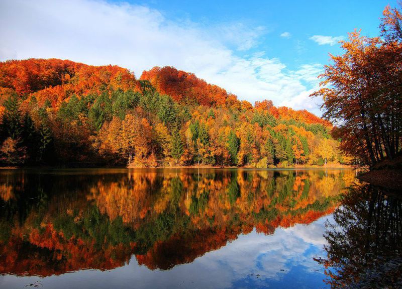 Румыния (Марамуреш) фото №29929 | Фотогалерея Румынии на WebTurizm
