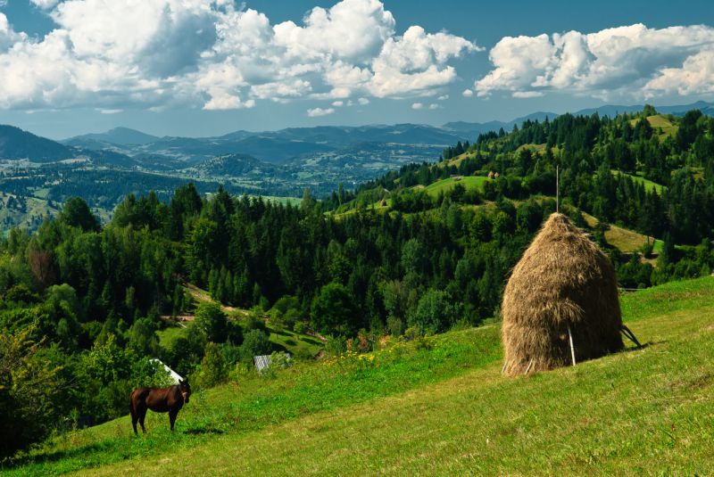 Марамуреш, Румыния фото #29939