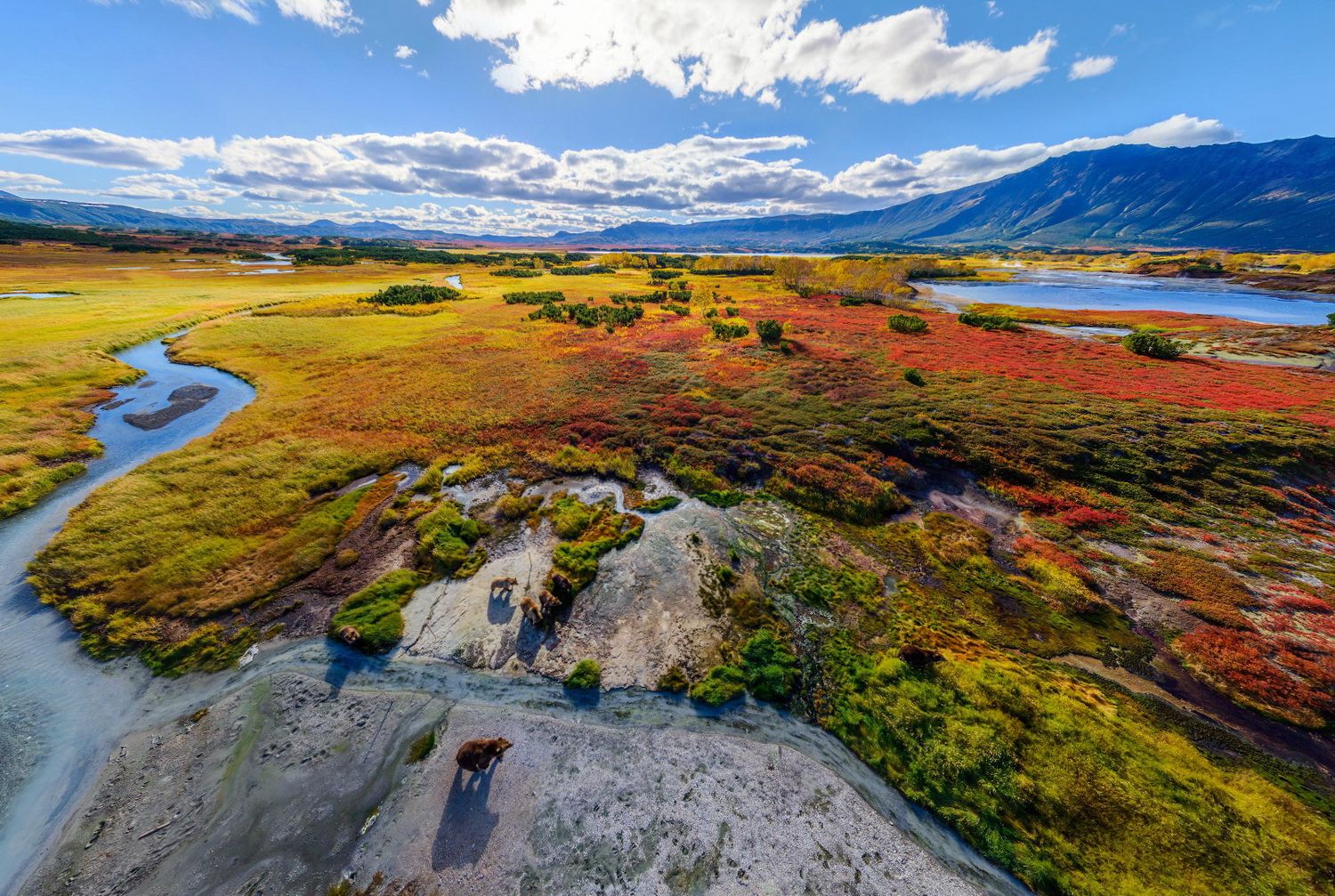 Кроноцкий заповедник, Камчатка - Россия фото #22694