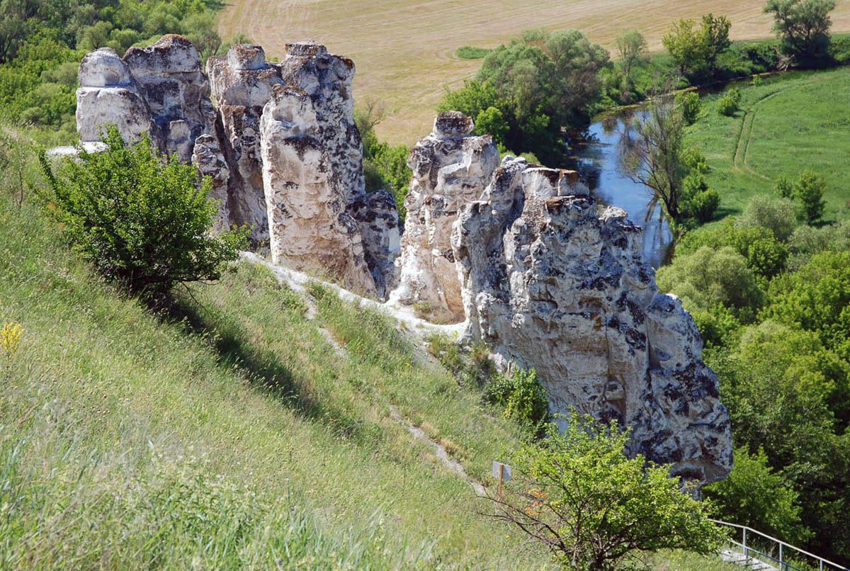 Меловые исполины Дивногорья - Россия фото #22696