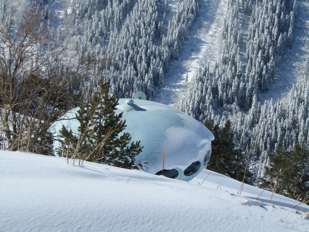 Домбай, Россия фото #6167