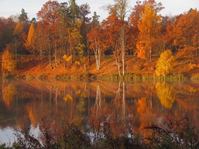 Гатчина. Приоратский парк осенью - Гатчина, Россия фото #5867