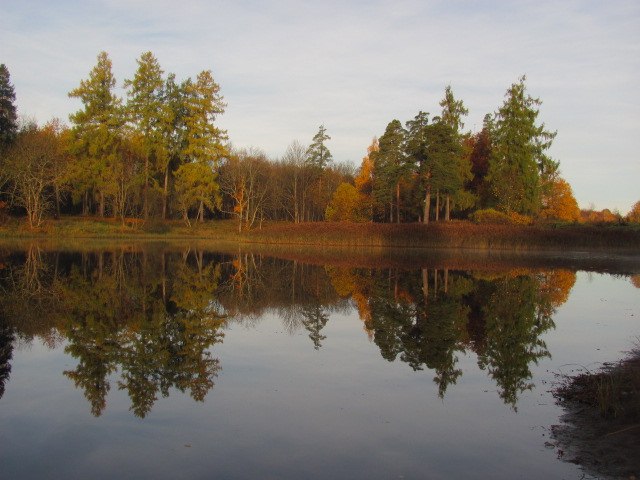 Гатчина. Осенний Приоратский парк - Гатчина, Россия фото #5868
