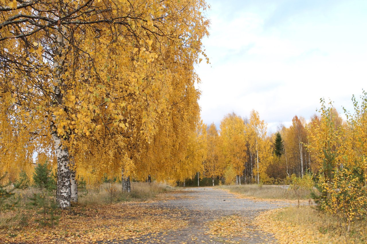 Петрозаводск, Россия фото #6605