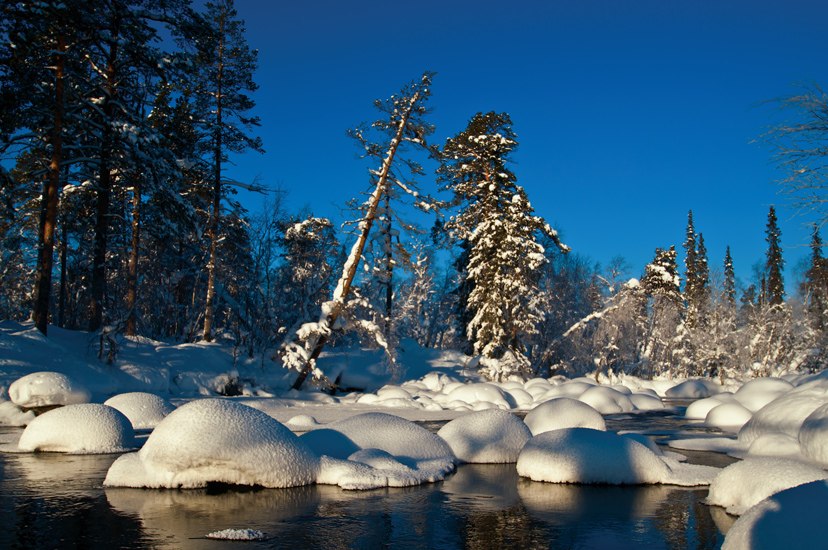 Русский Север, Россия фото #6641