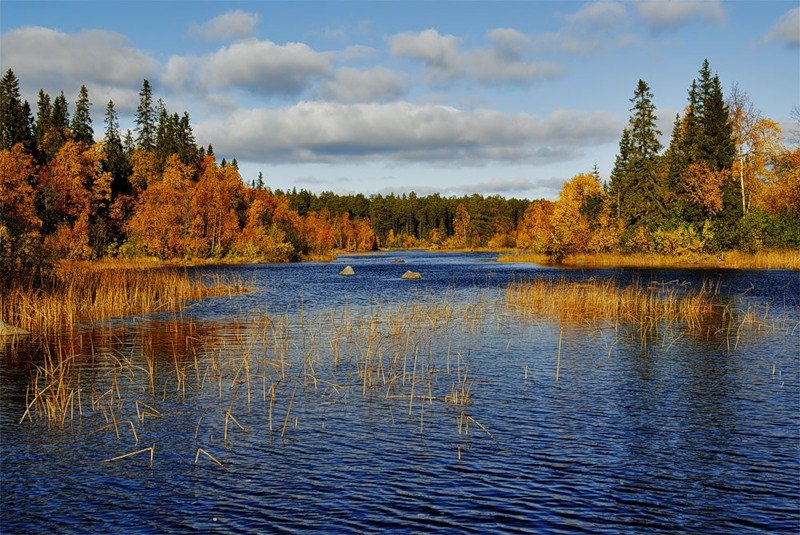 Русский Север, Россия фото #6649