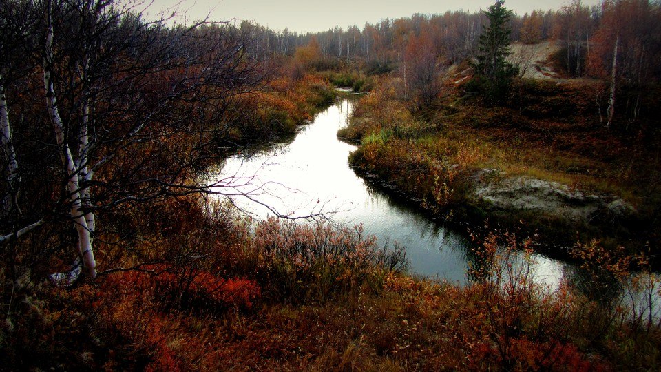 Река Васюганка - Салехард, Россия фото #6672