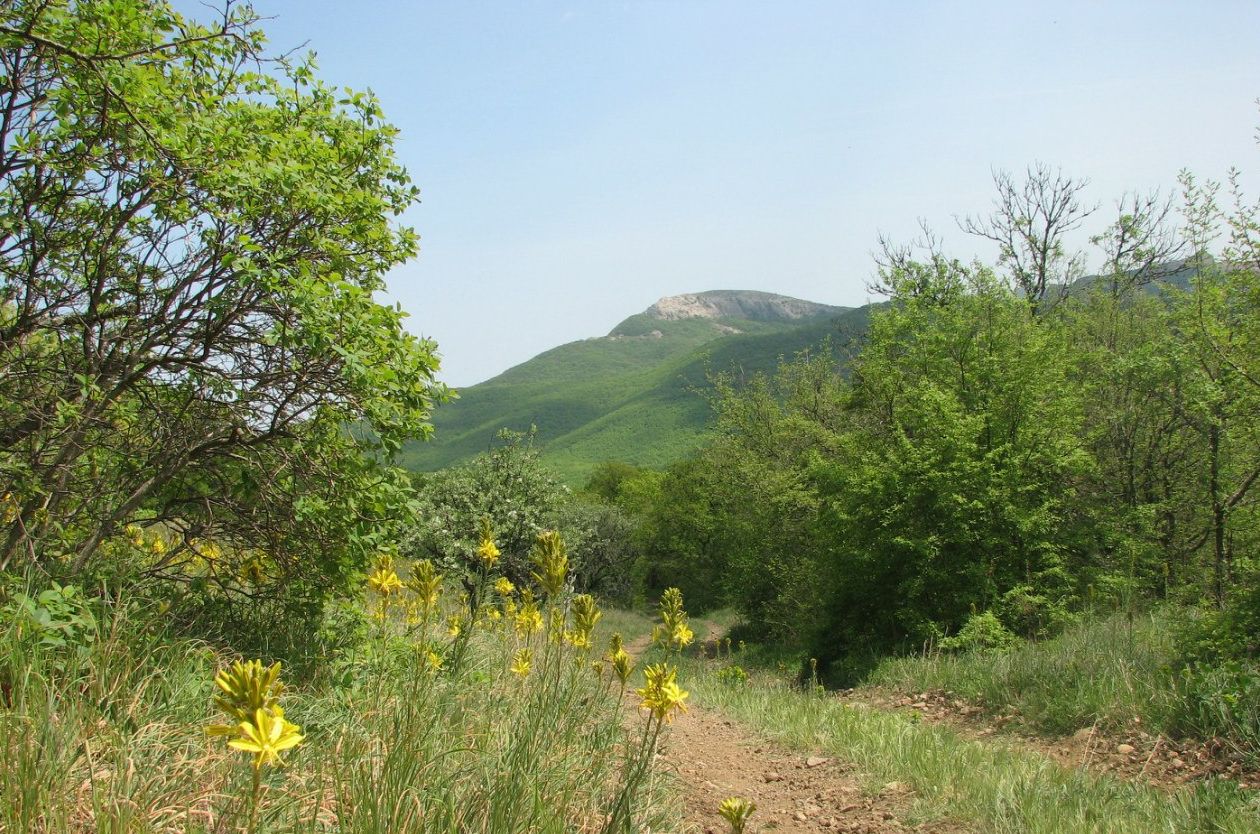 На неделю на в старом крыму