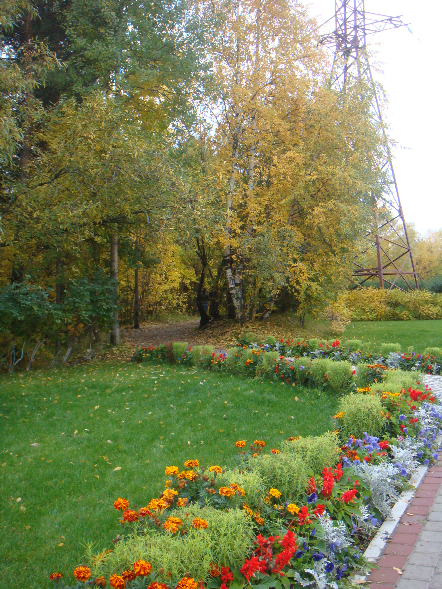 Золотая осень Сургута - Сургут, Россия фото #3281