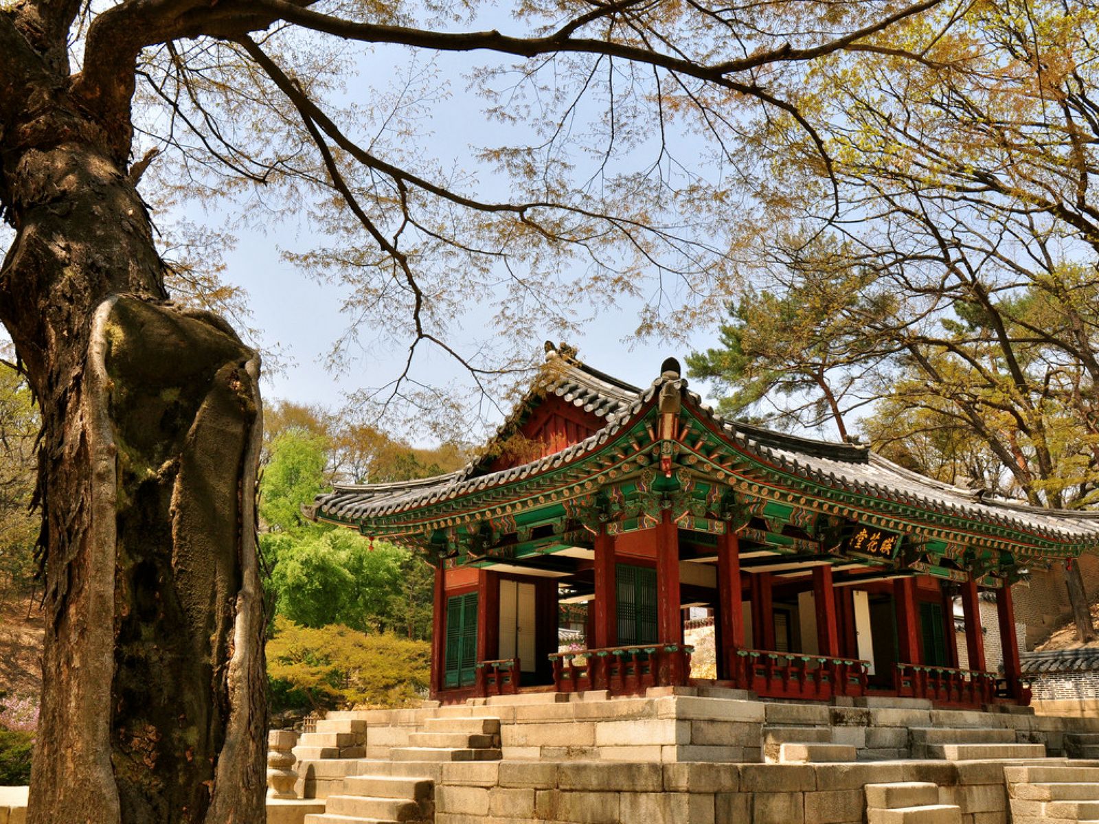 Южная Корея фото #9164