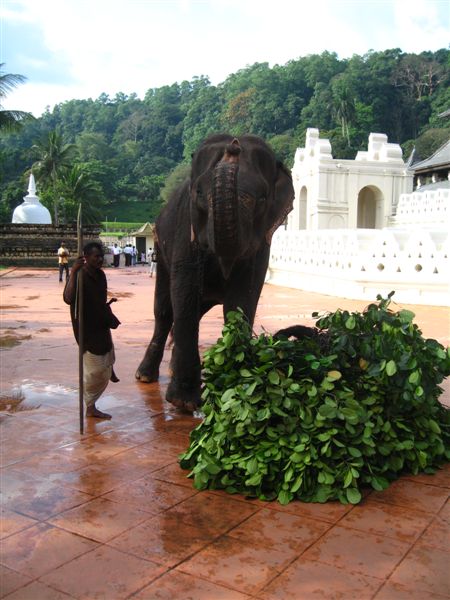 Шри-Ланка фото #2002
