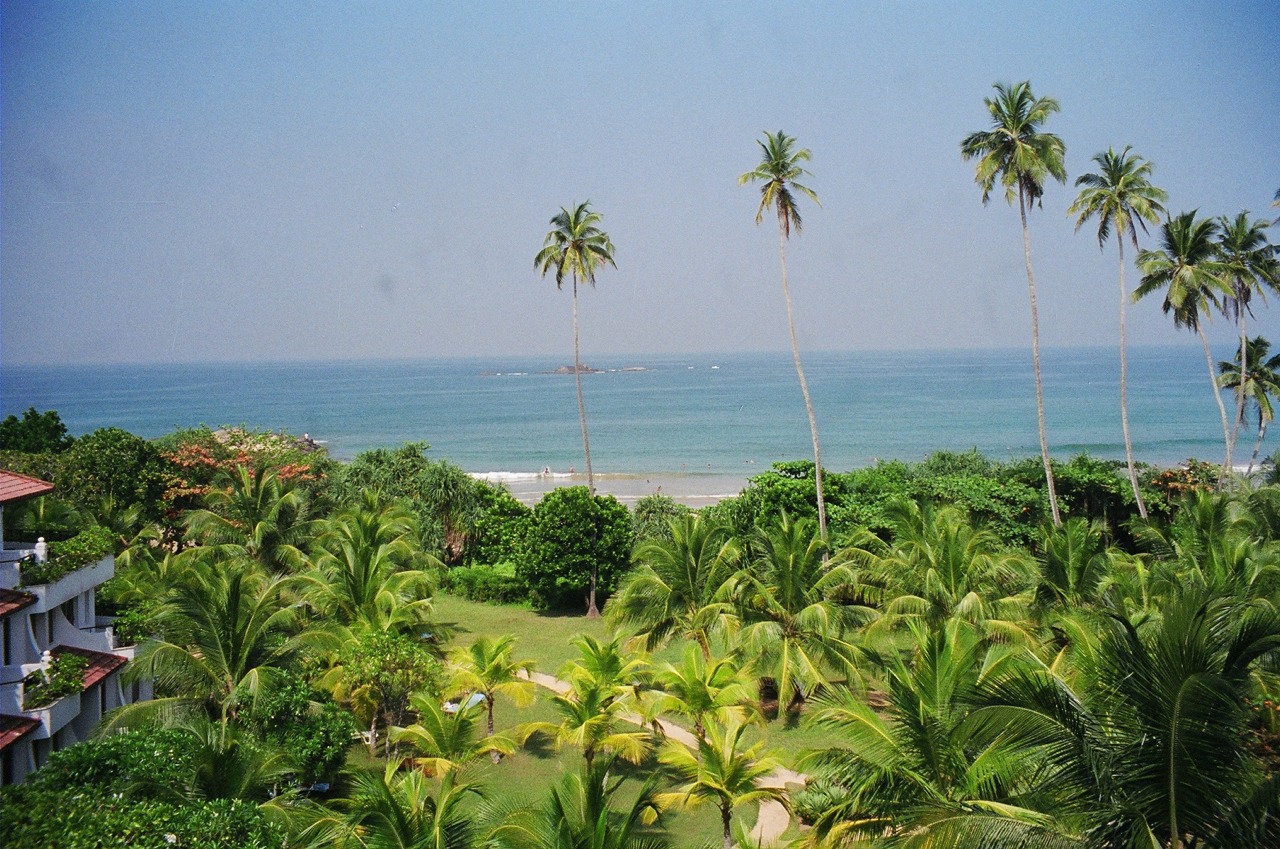 Коломбо, Шри-Ланка фото #27701
