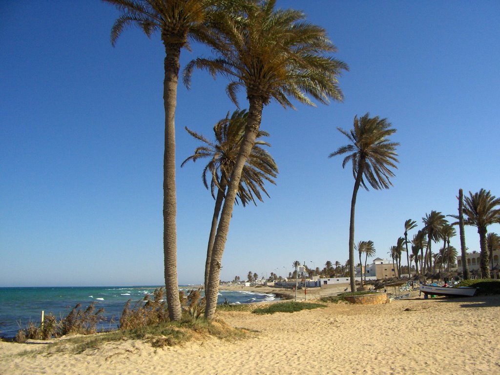 Джерба, Тунис фото #12517