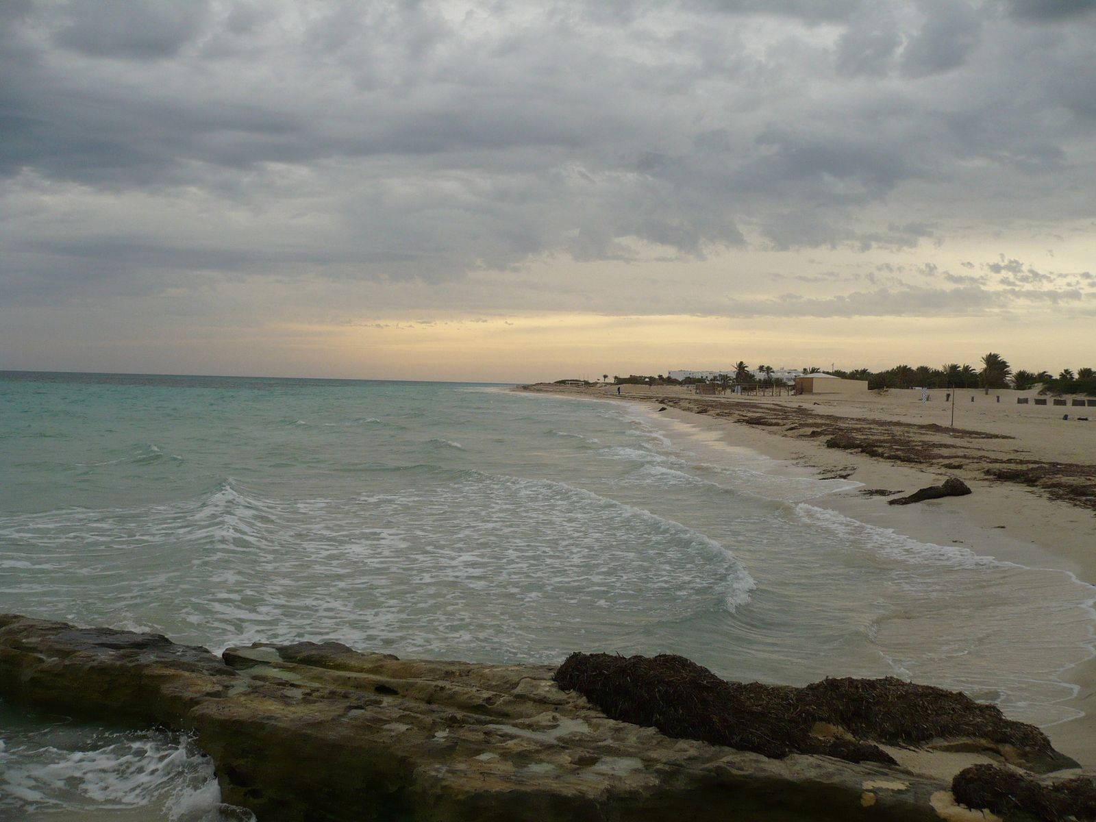 Джерба, Тунис фото #16419