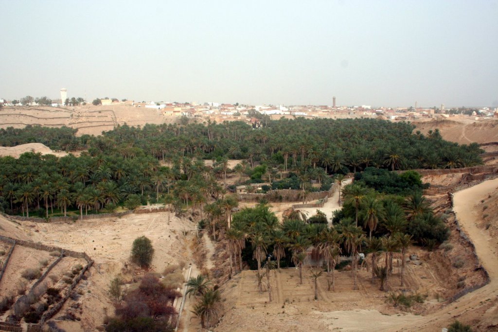 Нефта, Тунис фото #12716