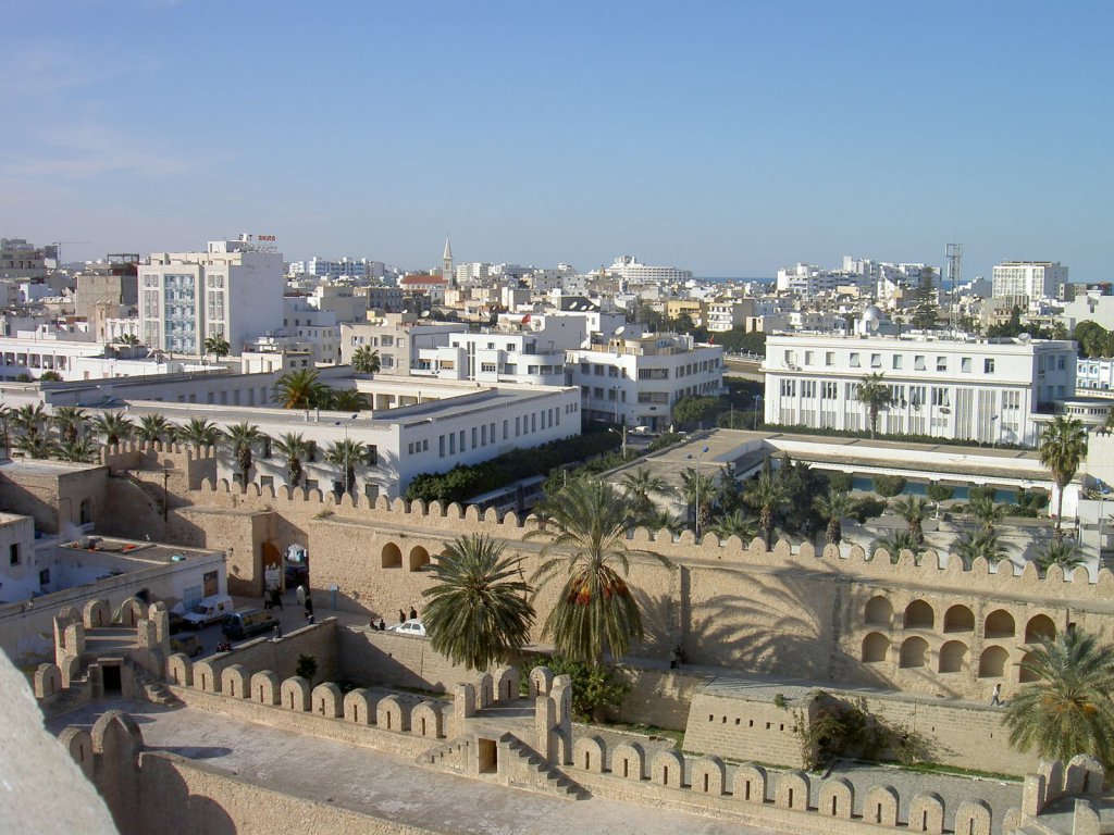 Виды туниса