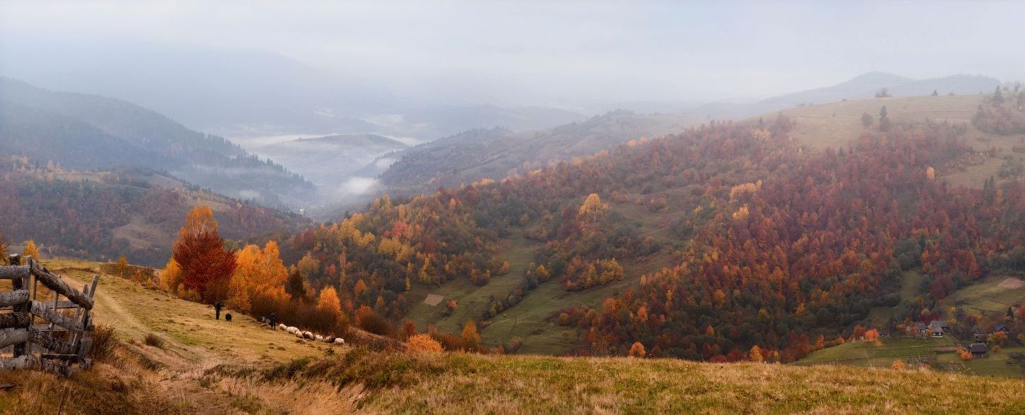 Закарпатье, Украина фото #21909