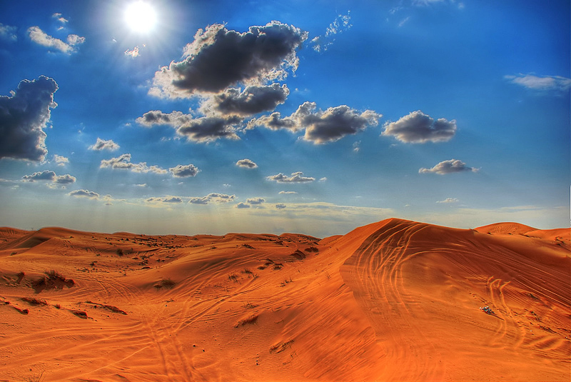 Desert - Абу Даби, ОАЭ фото #2511