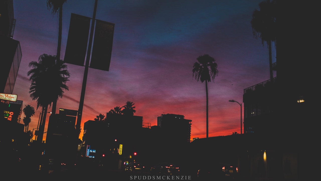 Лос-Анджелес, США фото #26081