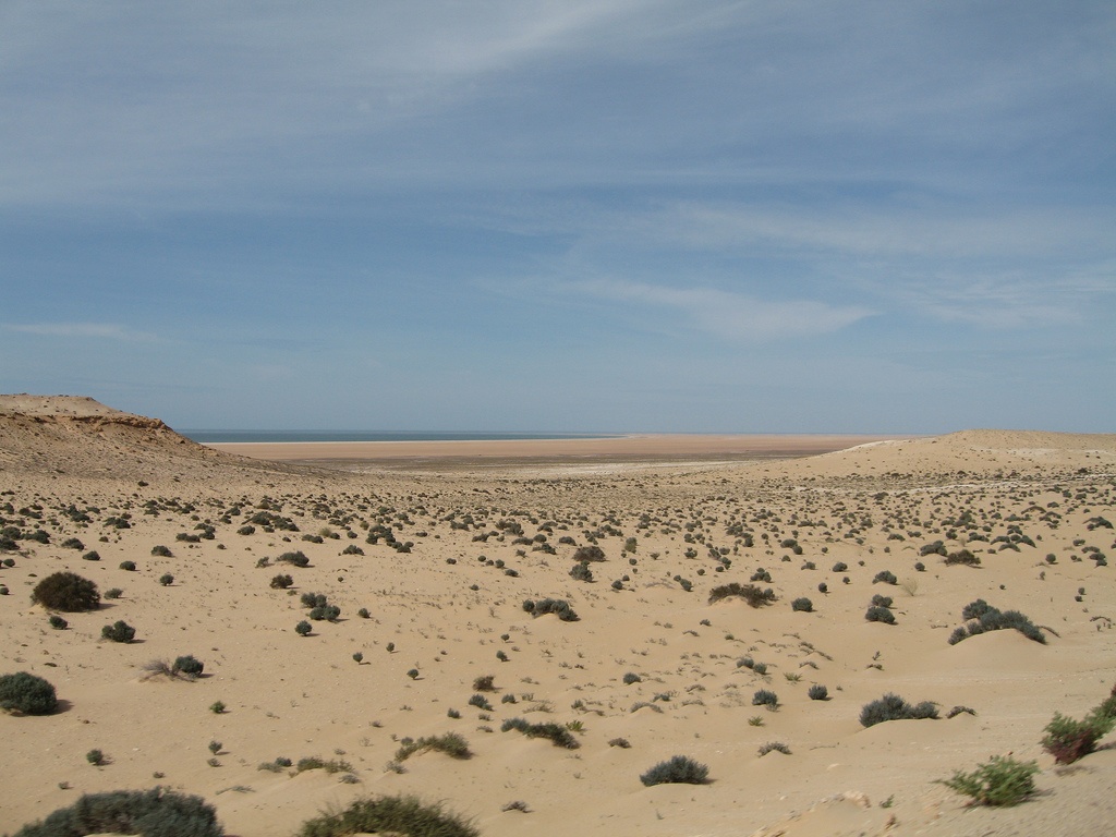 Западная Сахара фото #10452